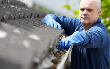 cleaning and inspecting Round Green roofs