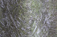 Round Green fibreglass roof work